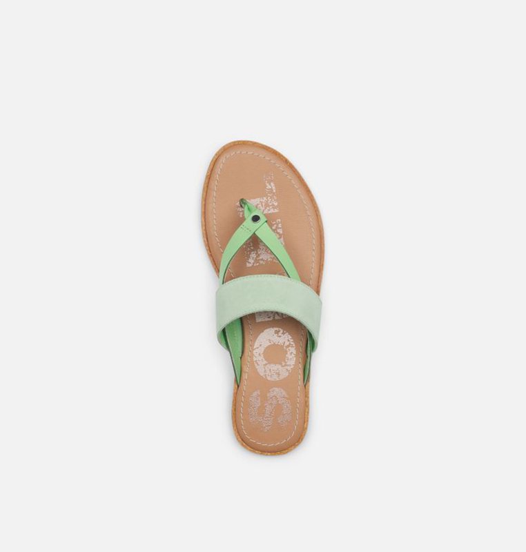 Womens Sandals Mint - Sorel Ella™ Flip Flat - 102453-OLQ